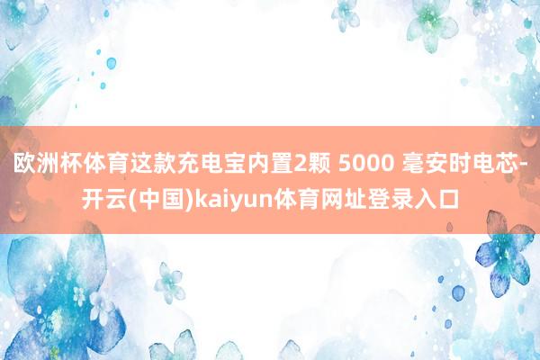 欧洲杯体育这款充电宝内置2颗 5000 毫安时电芯-开云(中国)kaiyun体育网址登录入口