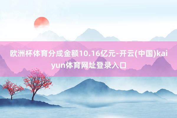 欧洲杯体育分成金额10.16亿元-开云(中国)kaiyun体育网址登录入口