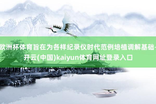 欧洲杯体育旨在为各样纪录仪时代范例培植调解基础-开云(中国)kaiyun体育网址登录入口