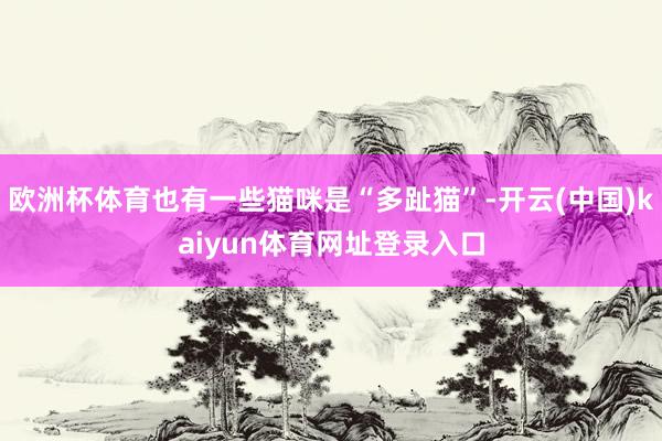 欧洲杯体育也有一些猫咪是“多趾猫”-开云(中国)kaiyun体育网址登录入口
