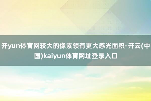 开yun体育网较大的像素领有更大感光面积-开云(中国)kaiyun体育网址登录入口