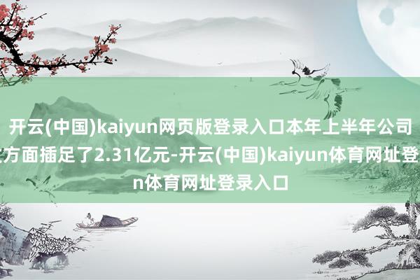 开云(中国)kaiyun网页版登录入口本年上半年公司在研发方面插足了2.31亿元-开云(中国)kaiyun体育网址登录入口
