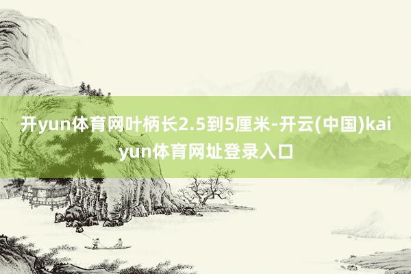 开yun体育网叶柄长2.5到5厘米-开云(中国)kaiyun体育网址登录入口