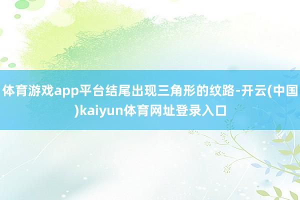 体育游戏app平台结尾出现三角形的纹路-开云(中国)kaiyun体育网址登录入口