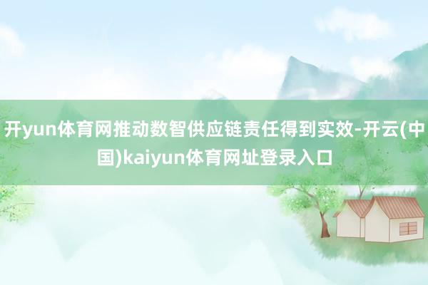 开yun体育网推动数智供应链责任得到实效-开云(中国)kaiyun体育网址登录入口